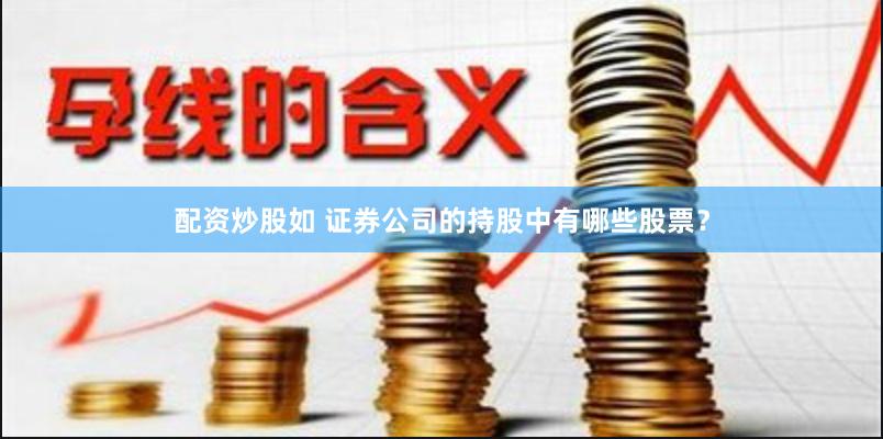 配资炒股如 证券公司的持股中有哪些股票？