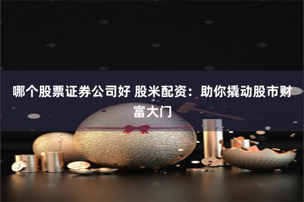 哪个股票证券公司好 股米配资：助你撬动股市财富大门