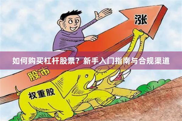 如何购买杠杆股票？新手入门指南与合规渠道