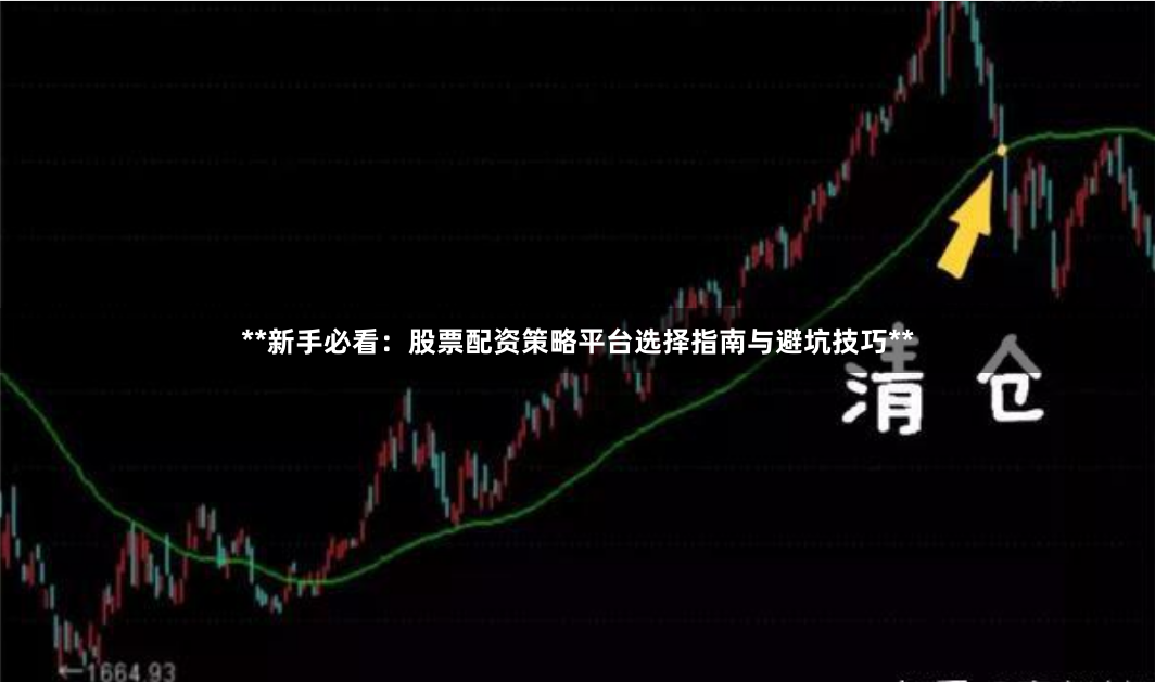 **新手必看：股票配资策略平台选择指南与避坑技巧**